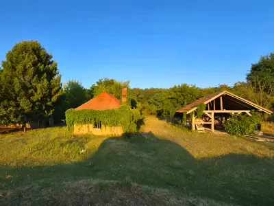 teren intravilan vanzare cumparare Valea lui Mihai Bihor casa
